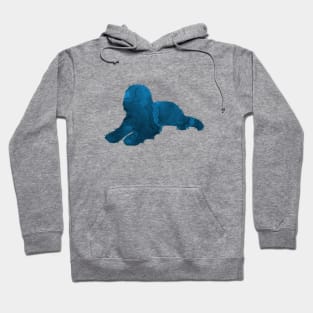 Goldendoodle Labradoodle Doodle Dog Blue Art Hoodie